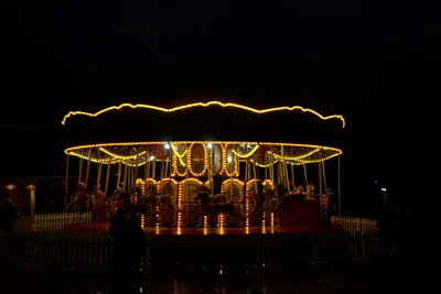 DSC_6146 (Large).JPG